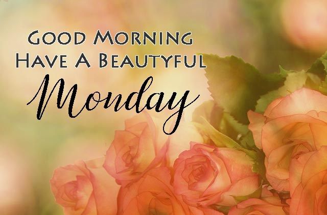 akashcc's tweet image. Have a Nice Day to All !