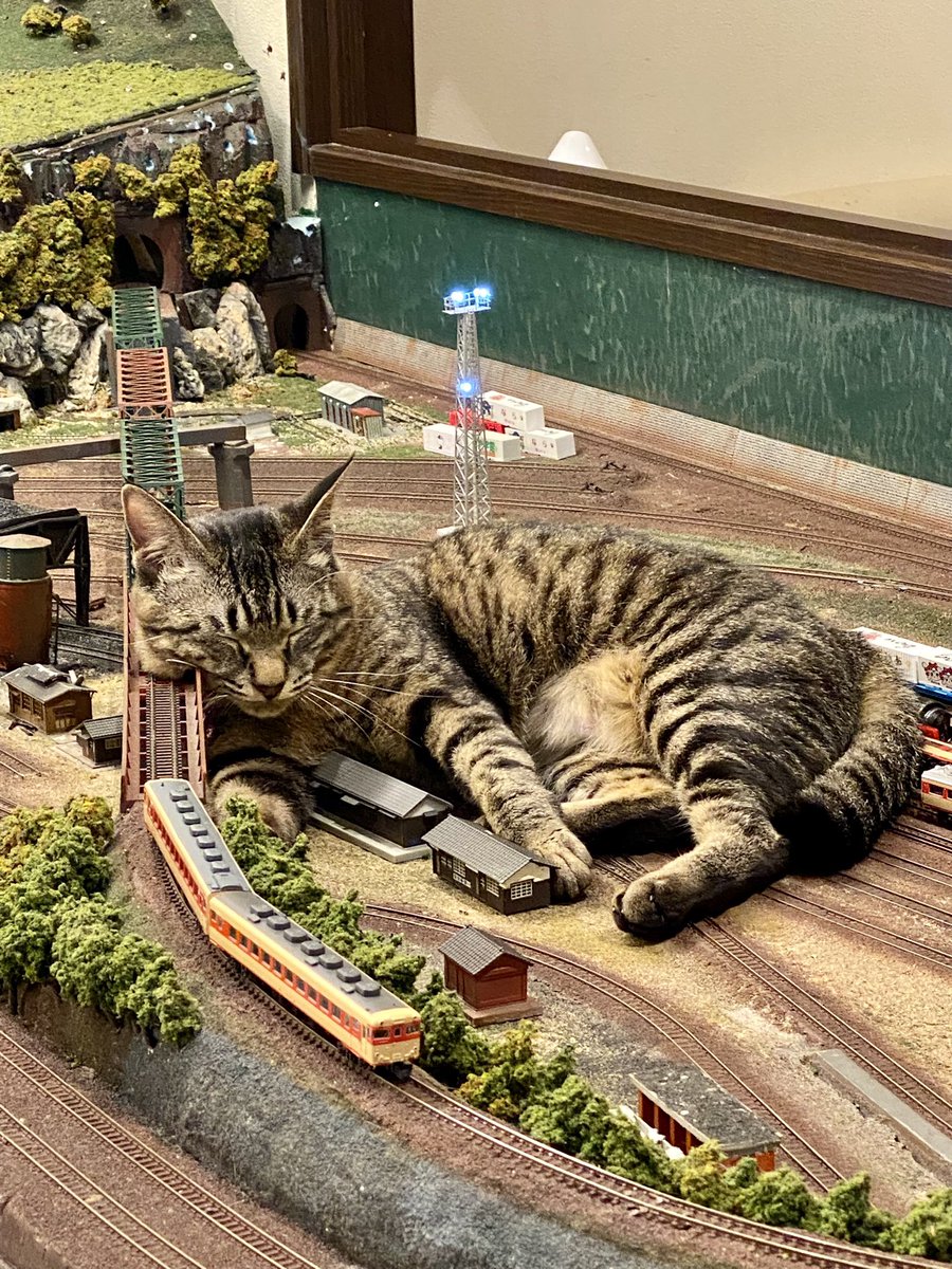 RocketGirlRuby's tweet image. Visited some kaiju yesterday in Osaka