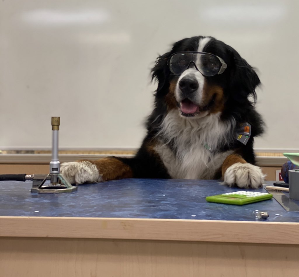 Bunsen, Beaker, Bernoulli & Brix tweet media