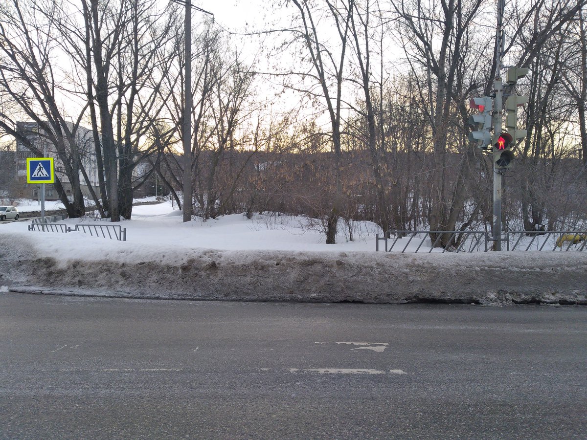 Дмитрий Ситников tweet media