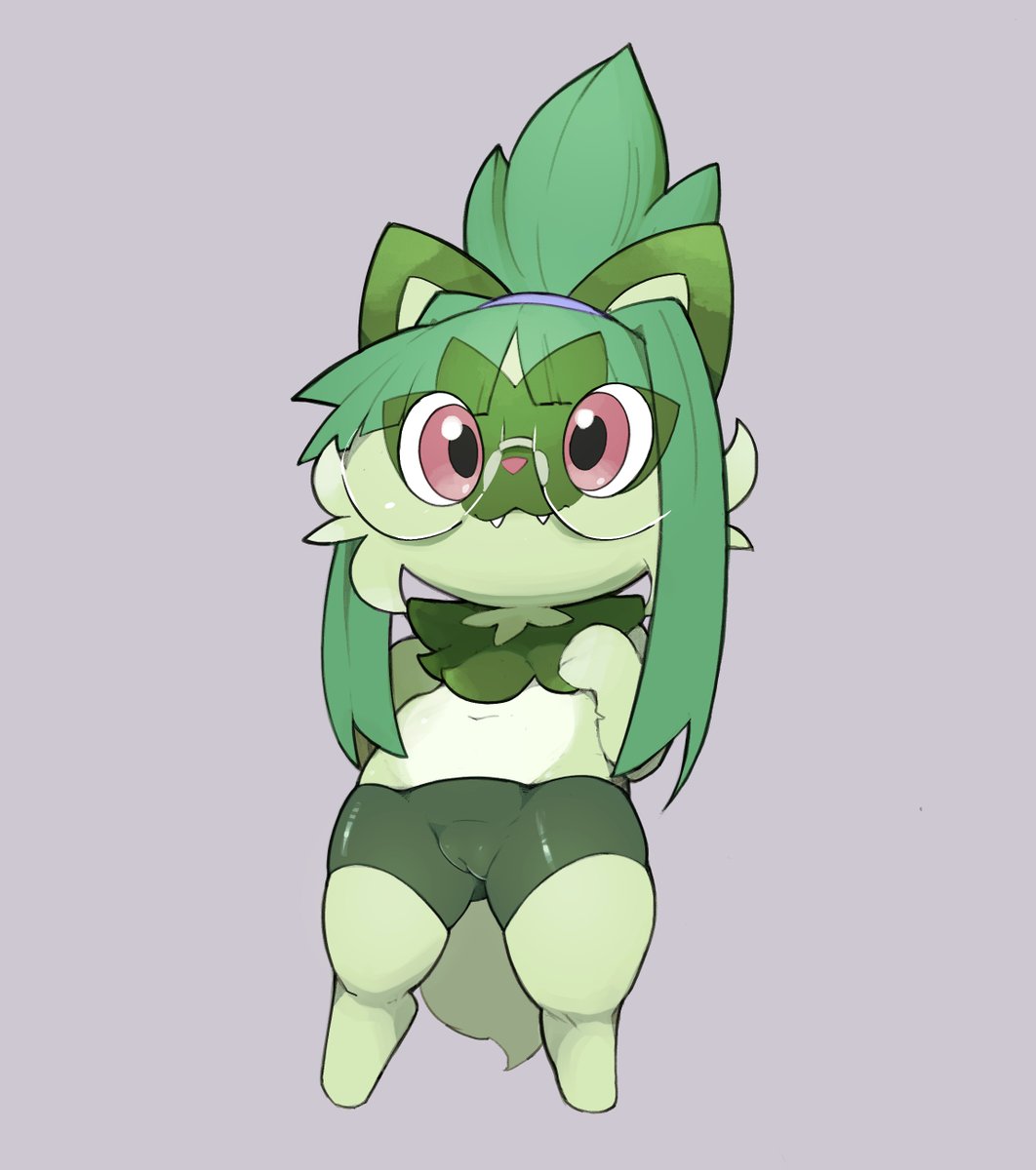 dodudoru tweet picture