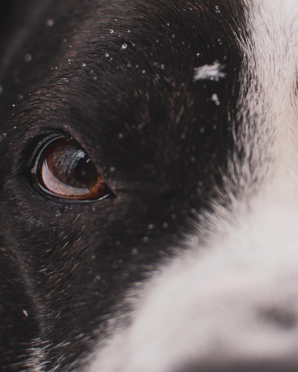 Mahala C tweet media