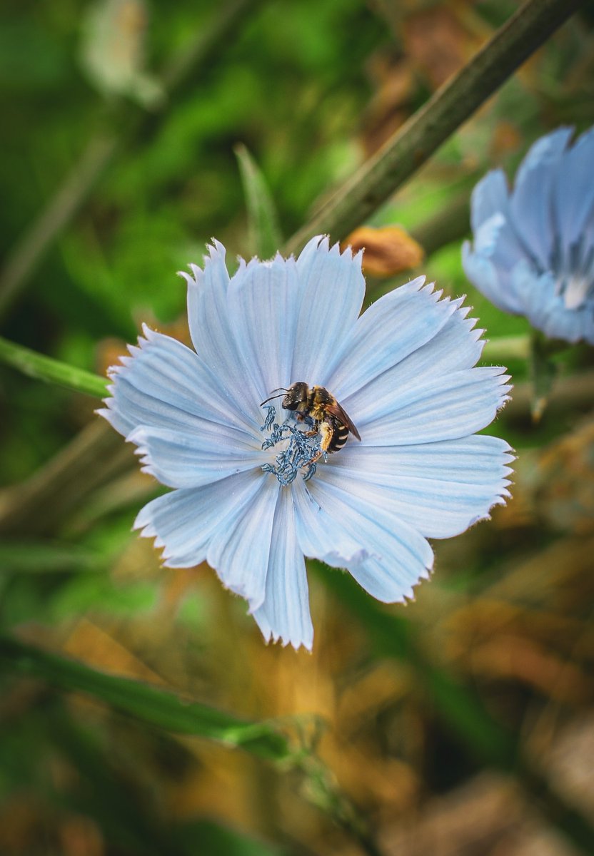 Mahala C tweet media