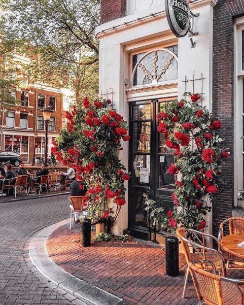 aestheticspost_'s tweet photo. Spring in Amsterdam 🌸 https://t.co/7tkZpUqYys