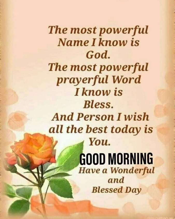 MostafaKC's tweet image. Good morning dear all Friends