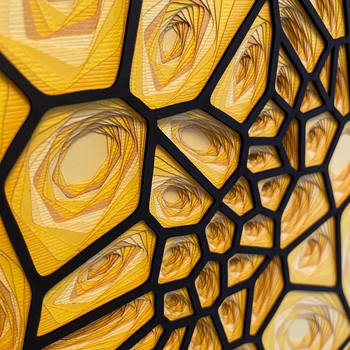 Colin Liotta tweet media