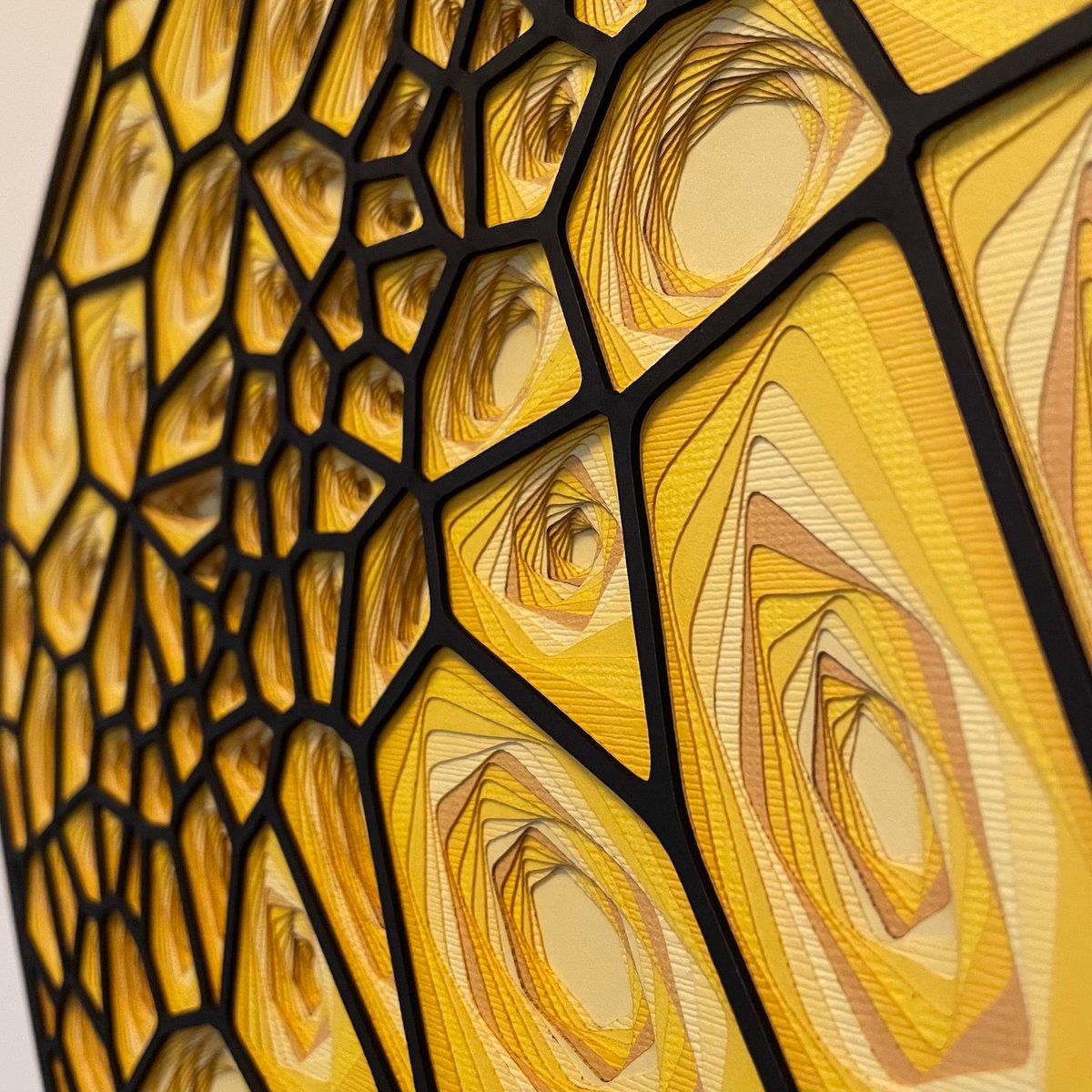 Colin Liotta tweet media