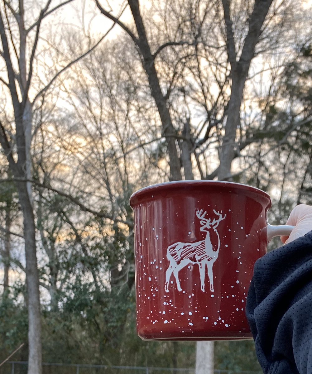 coffeegirl_77's tweet photo. Enjoying a few minutes #outside this cool evening😊 God is Good. #NaturePhotography #nature #365cupsofcoffee #birdwatching #BibleStudy #SundayMotivation #clouds #sunset https://t.co/aTN1uz6bYe
