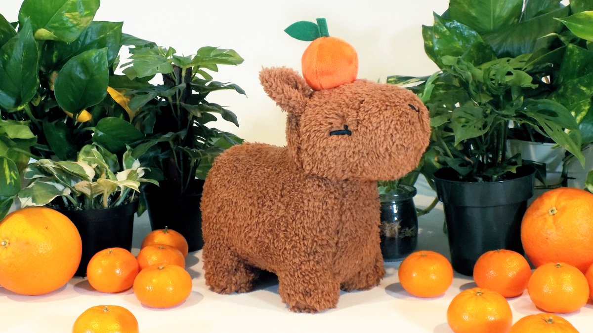 in celebration of completing the capybara rewards/ preorders, im doing a giveaway! 🎊
prize: capybara plush, cap, sticker, standee, acrylic charm, wooden pin, and fuzzy patch. 
to enter:
🍊follow me
🍊retweet
🍊leave a reply (qrts dont count)
winner will be chosen march 7th! 💛