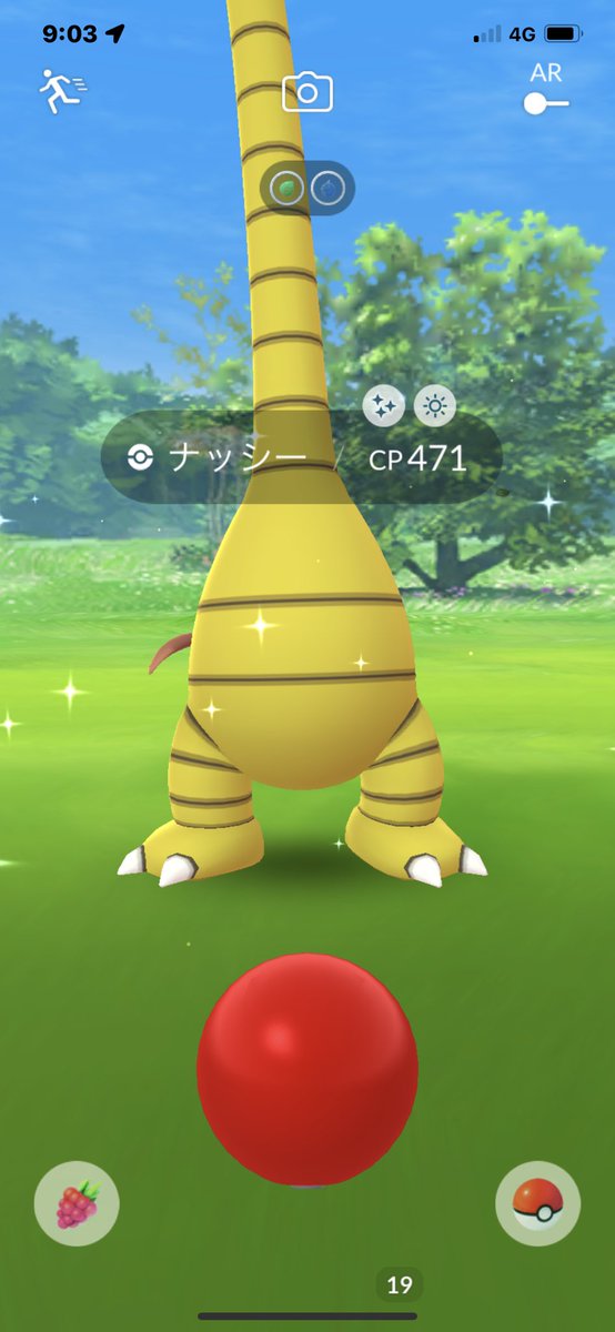 ポケモンgo ナッシー アローラ の色違い 入手方法と実装状況 攻略大百科 ポケモンgo ナッシー アローラ の色違い 入手方法と実装状況 攻略大百科