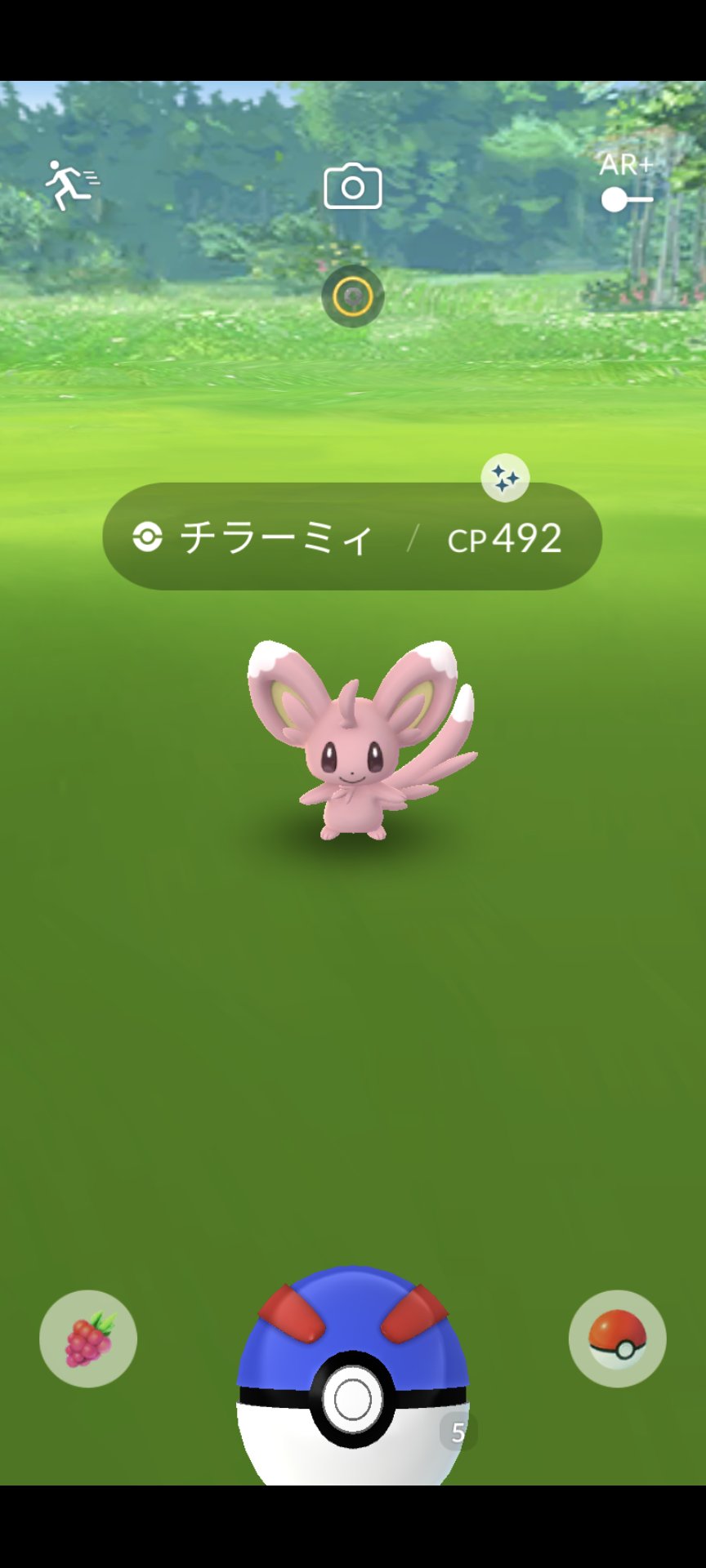 ᖇ Jin このチラーミィですが 剣盾で進化後のチラチーノ色違い何体か持ってますので先着１名に差し上げます Pokemon Go産だから個体弱くね と思う人がいるかもですが必要に応じてミントや王冠使います 先着１名欲しい方はリプください ただし