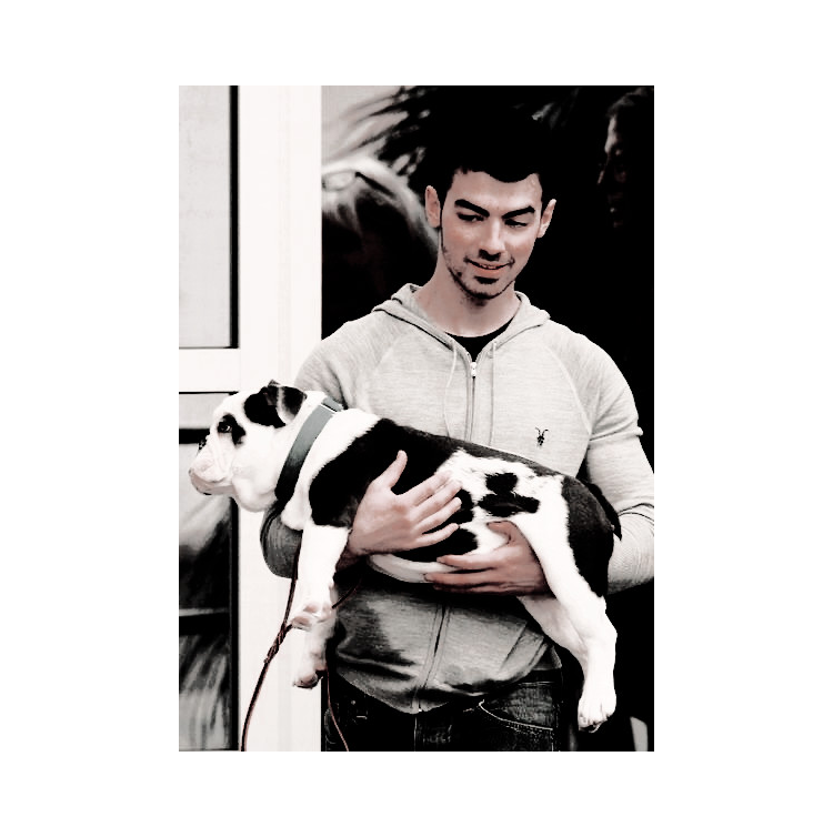 ⠀⠀⠀⠀ ⠀pure and 🐾 sıncere
⠀⠀⠀⠀ ⠀l♡ve needs no words.
⠀⠀⠀⠀  ⠀⠀#𝖬𝗒𝖯𝖾𝗍𝖧𝖶𝖱𝖢