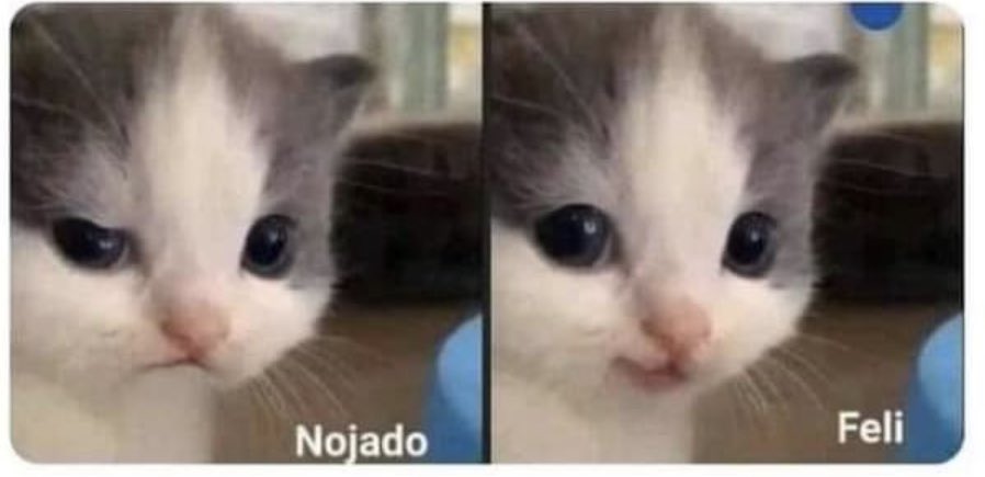 nderakoreami_'s tweet photo. Mañana es lunes/// pero es feriado https://t.co/FgCnO3Vp5F