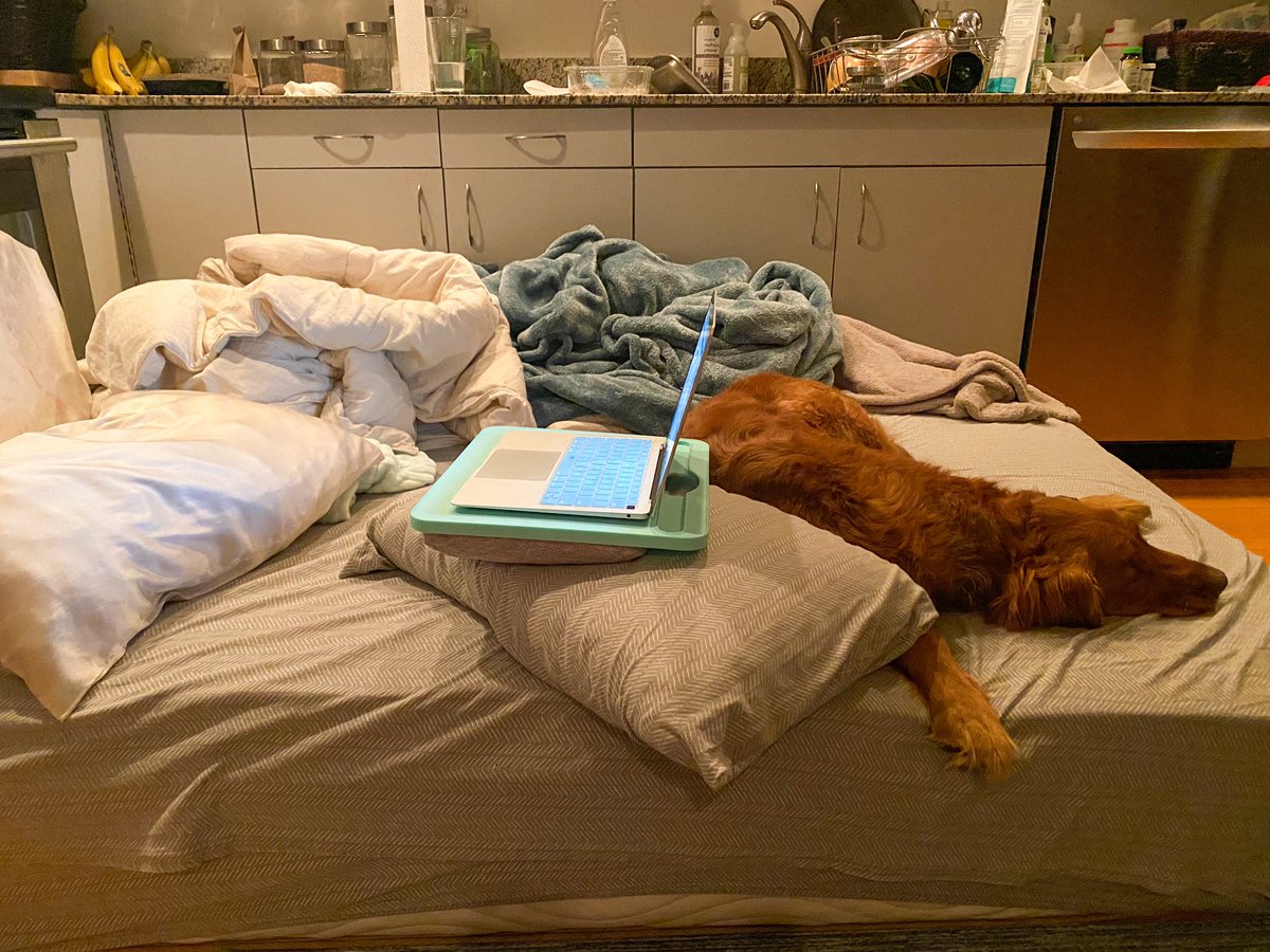 A dose of un-staged #reallife: This is where I’m working + sleeping) trying to get the website ready for tomorrow’s spring launch. Everything in me wants to just say screw it but I’m gonna get it done because there is no telling how I’ll feel after his 10AM appointment. 🧡