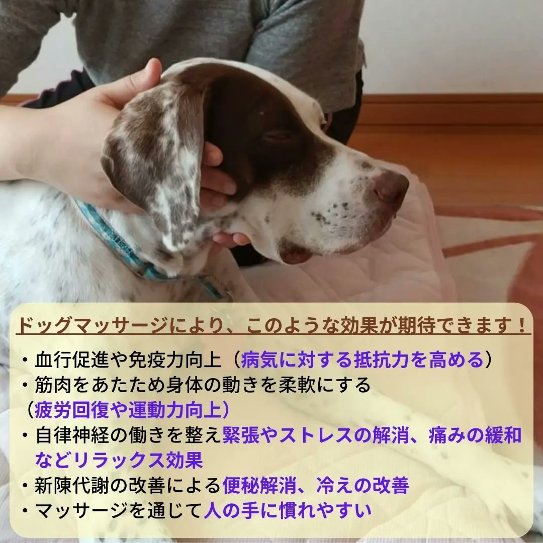 Eri Piichan Pucchii Twitter