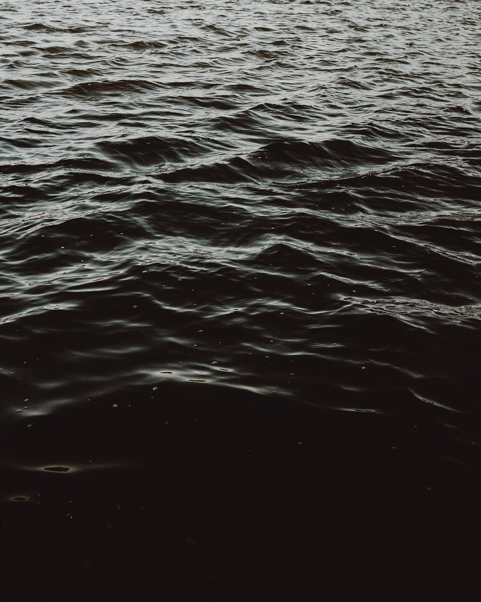 Archillect tweet media