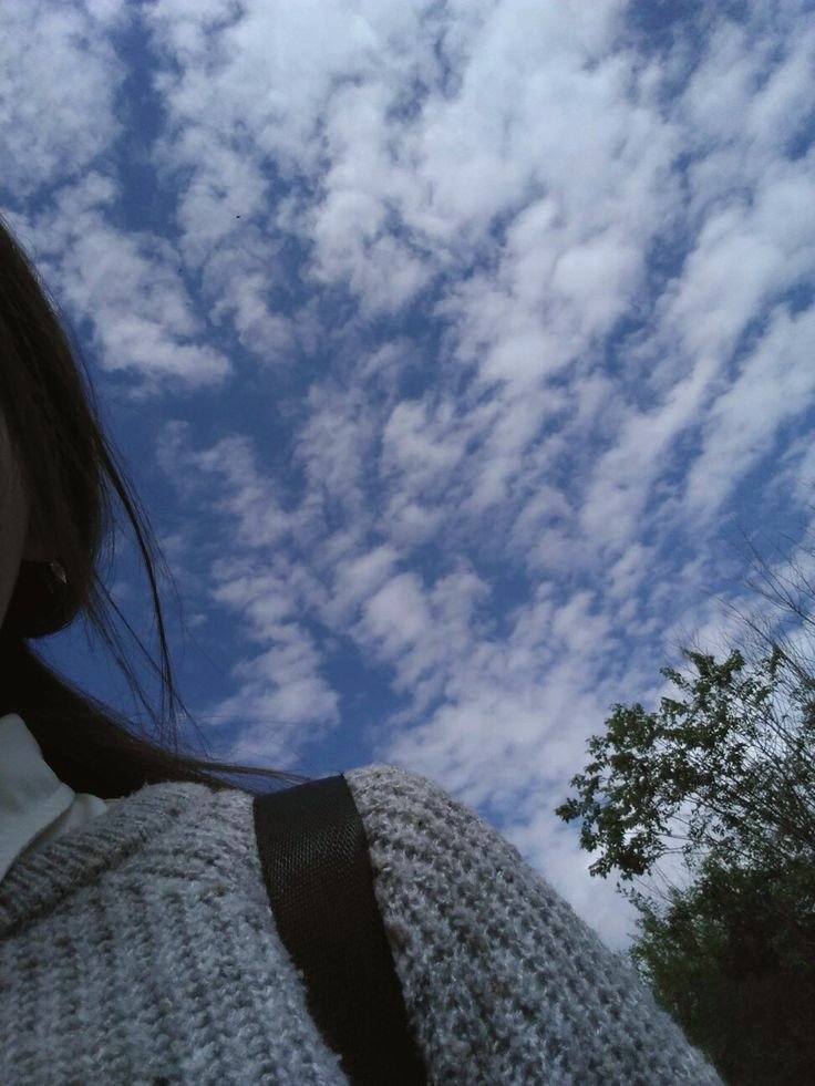 ByLeii_'s tweet photo. Llegó como la brisa, acariciando horizontes... 💫💭 https://t.co/VL8kRgAEOj