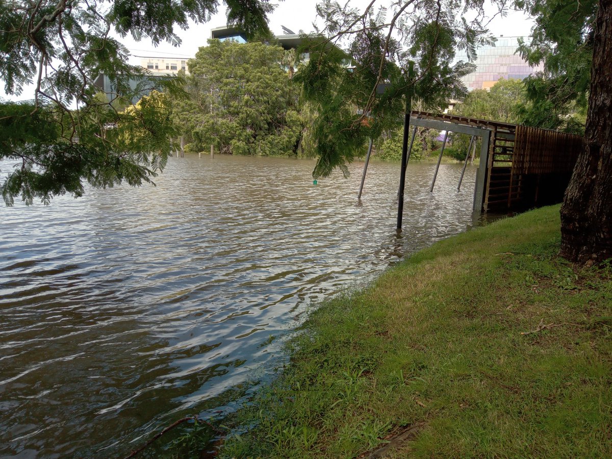 DeplazesEvelyne's tweet photo. I know it's not the worst of the #brisbaneflood, yet it's still sad to see #UQlakes so flooded. 

It's such as place of joy and well-being for many staff and students at @UQ_News. https://t.co/MyQe2FBnKp