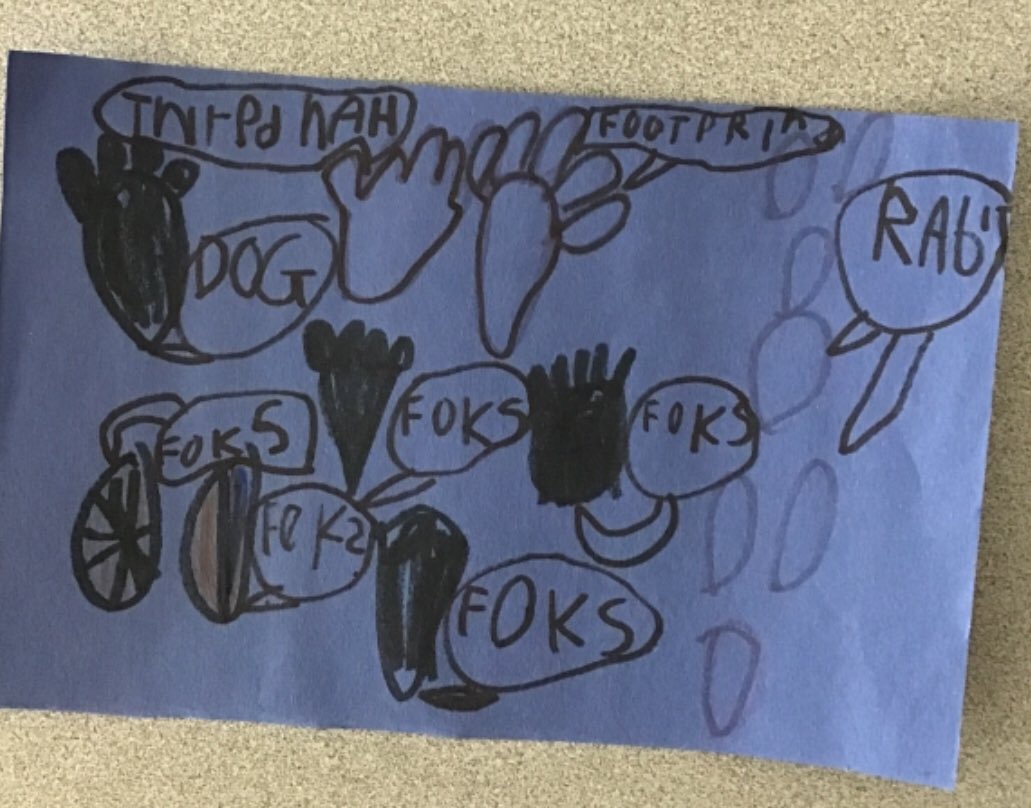 Amanda Thomas tweet media