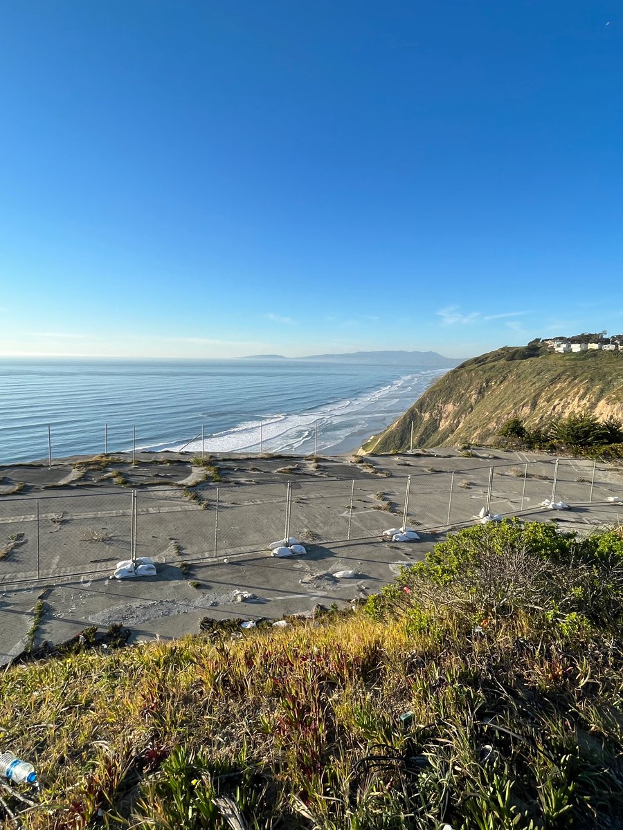 Looking at the ocean