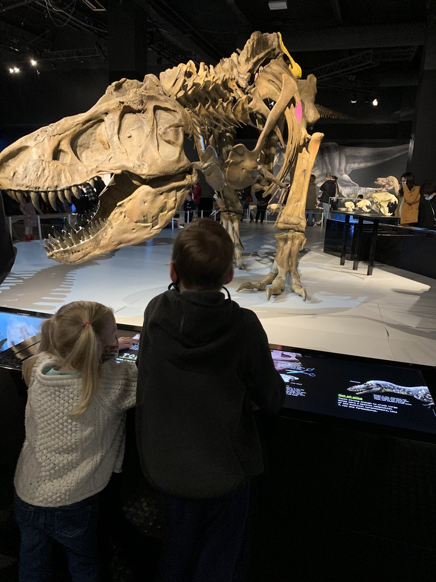 TriVanJD's tweet image. The T.Rex exhibit  @scienceworldca was a hit.