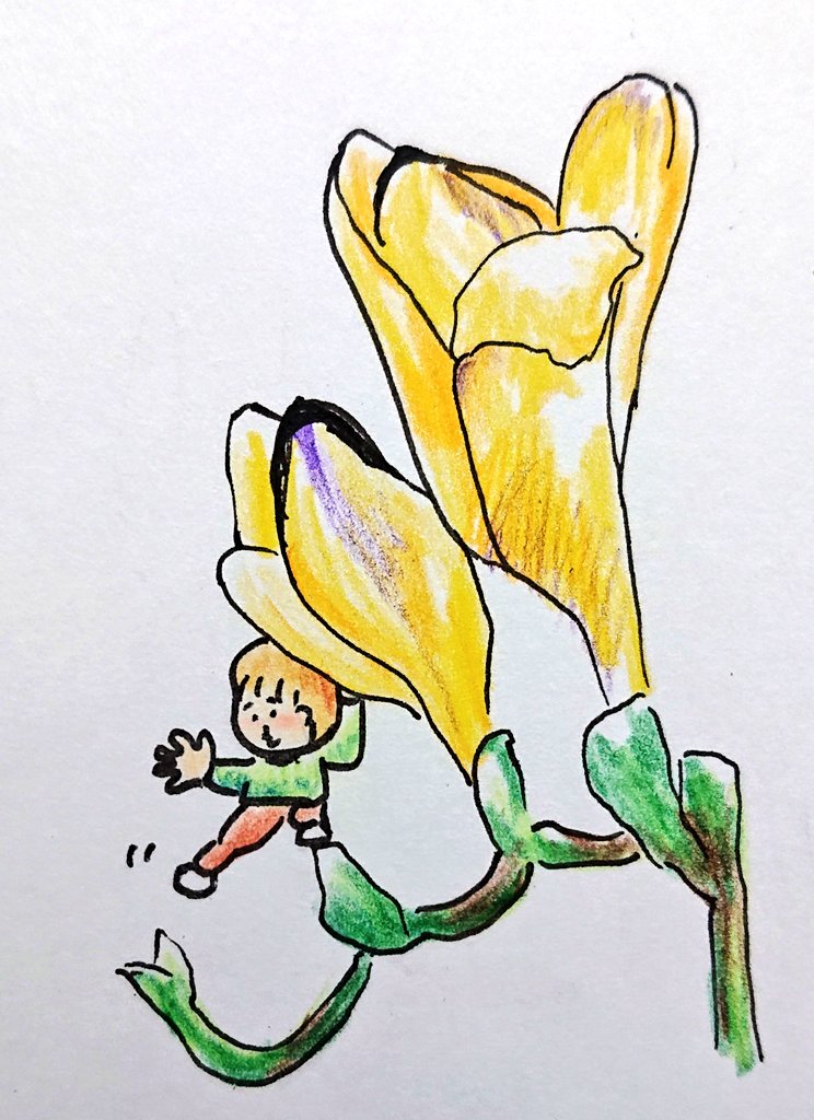 もりもとさやこ フリージアでアスレチック イラスト 1コマイラスト ほんわか 手書きイラスト 色鉛筆 ゆるい イラスト イラストグラム ほっこり 一言イラスト ほっこりイラスト イラストレーター 面白いイラスト クスッと笑える Illustration