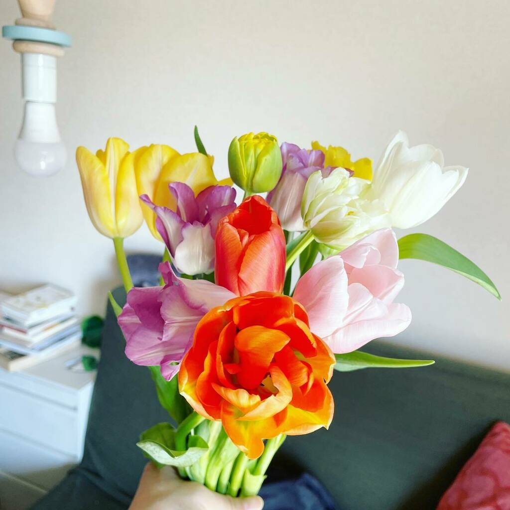 Twitter এ 土屋アソビ チューリップたちの合同日光浴 やつらは昼に開いて夜閉じるからかわいいし楽しいけど それだけに花びらが落ちはじめて枯れた時は あー死んじゃった と思うので色々イーブン T Co 3jtxcipshf T Co Rchxpzqkx0 ট ইট র