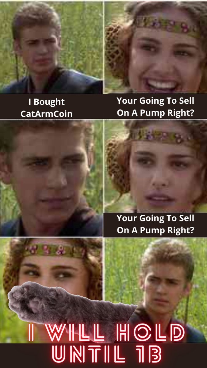 Tom Hodl tweet media