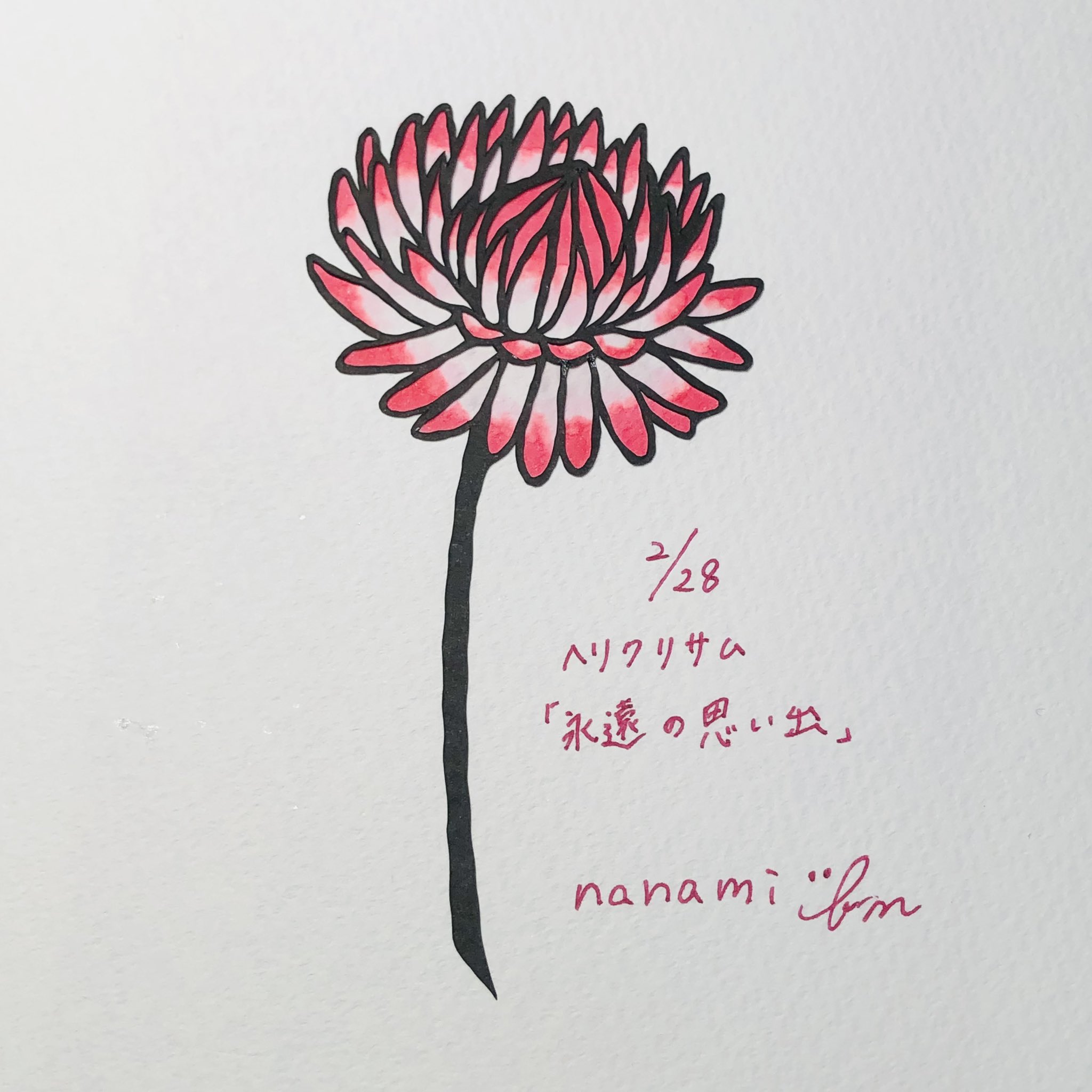 奈波 切り絵 今日の誕生花 Day319 2 28 ヘリクリサム 花言葉 永遠の思い出 残り47日 誕生花 花言葉 1日1絵 切り絵 切り絵bot作品 T Co Invqpttiyq Twitter