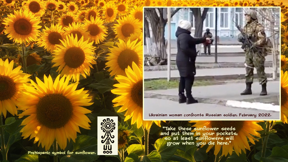 For the Mexica, sunflowers were symbols of war.  Chimalxochitl (shield-flower) has provided a powerful moment for #Ukraine as its National Flower. 
Ukrainian to Russian: "Take these sunflower seeds and put them in your pockets, so at least sunflowers will grow when you die here."