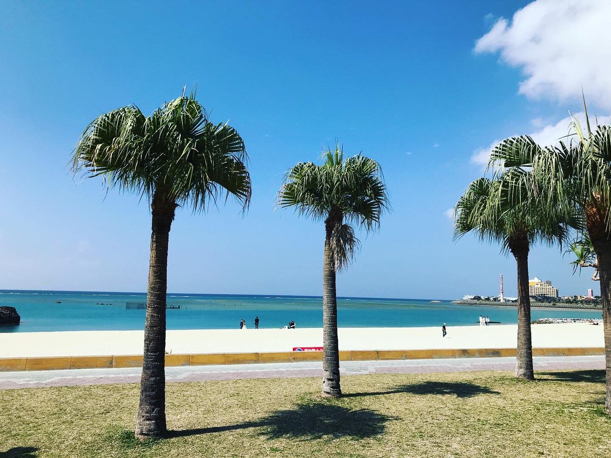 okinawanderer's tweet photo. Monday lunch at the Araha beach today!

Mh-, gorgeous! 

Have a great day! 

#okinawa #lunch #beach #araha #chatan https://t.co/ZllYwyh9bA
