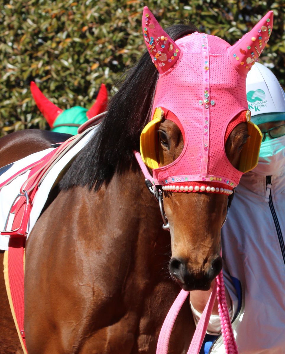 #アグネスプリンセス

ララフォーナのメンコ

毎回、確実に伸びる差し脚🐴

入着に来てくれて、感謝感謝です🙏 