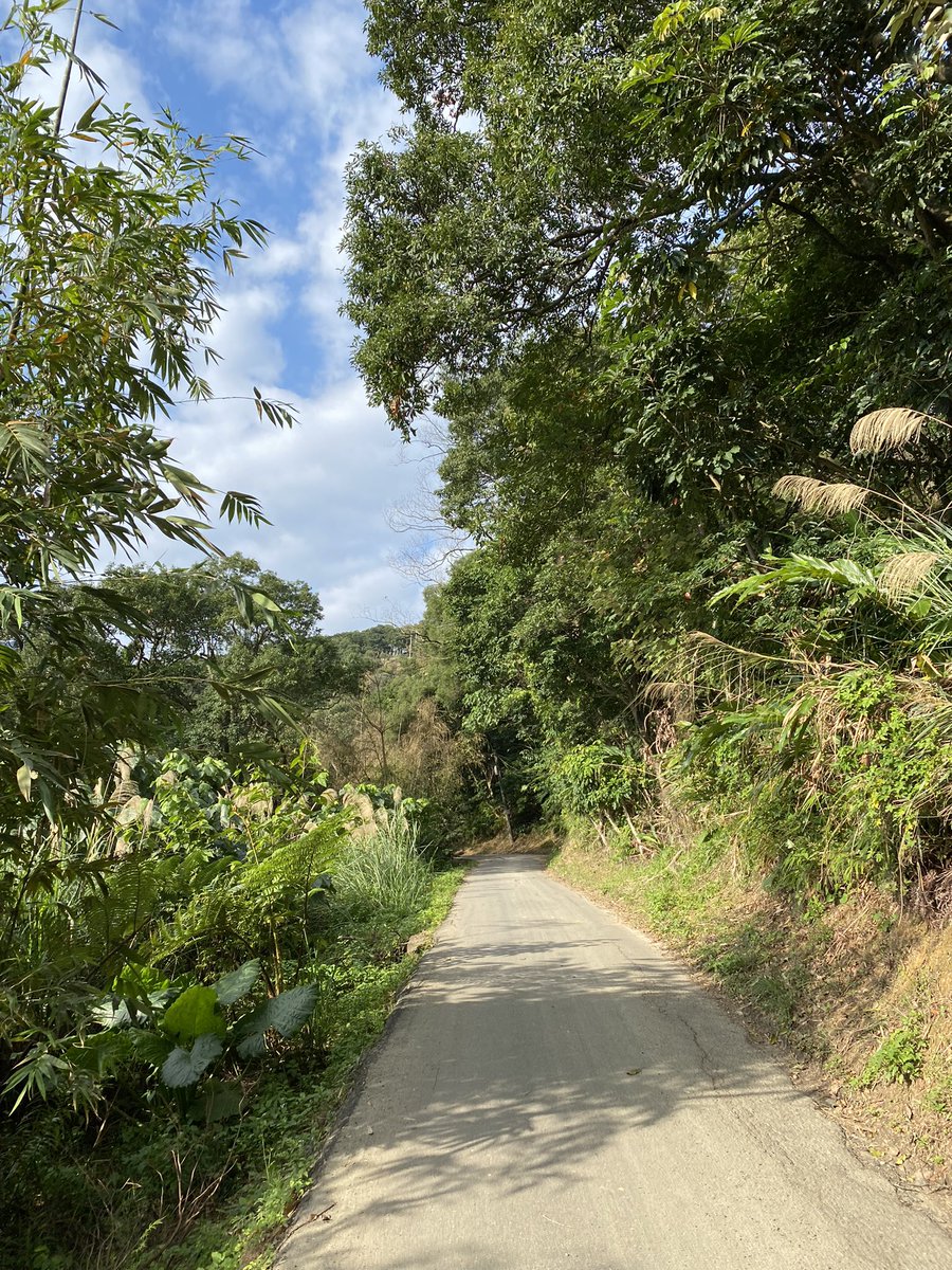 Ingrid Hsing tweet media