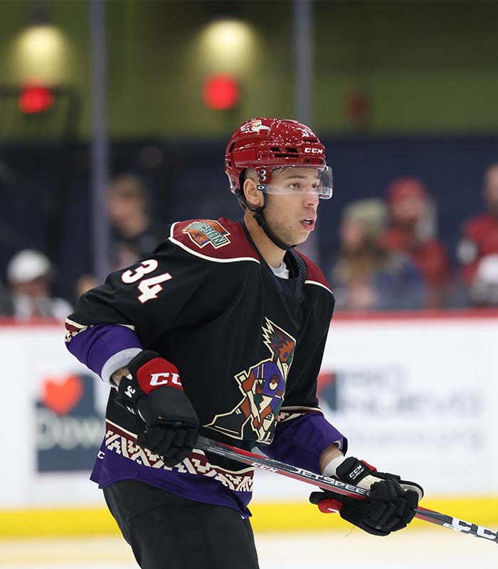 Tucson Roadrunners tweet media