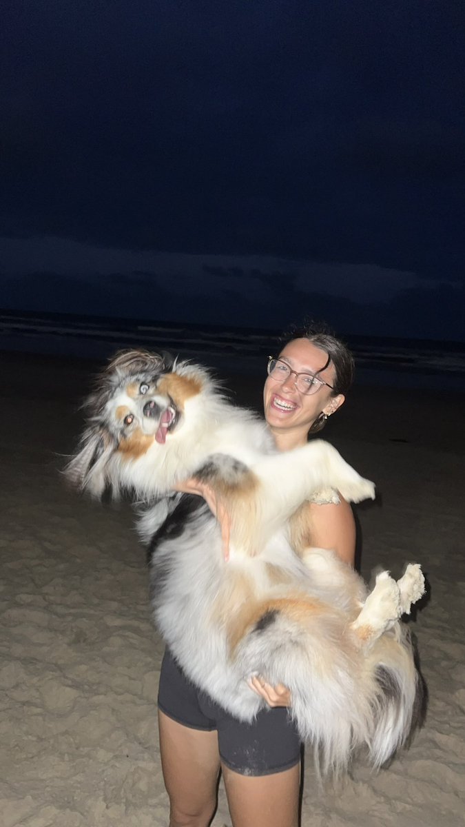 Trying to keep up with the #twitterdogcommunity is like trying to pick up Sedona when she sees a ball being thrown #overwhelming