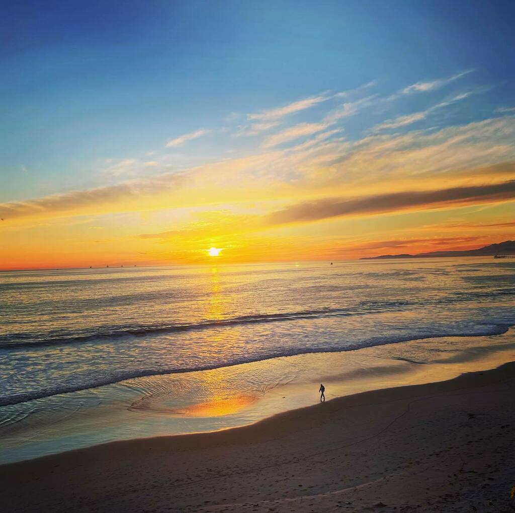 Tricia Lee Director-Writer tweet media