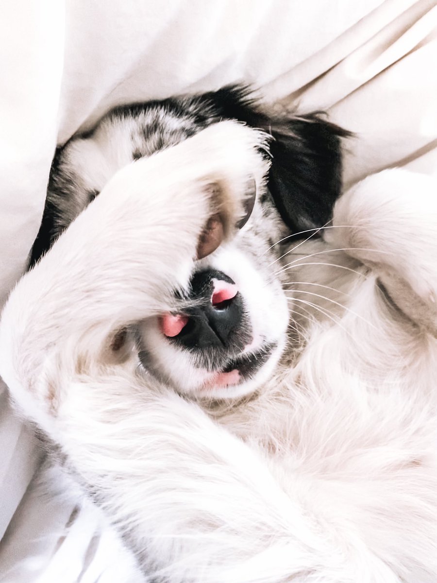 let’s hide together 🙈🥲