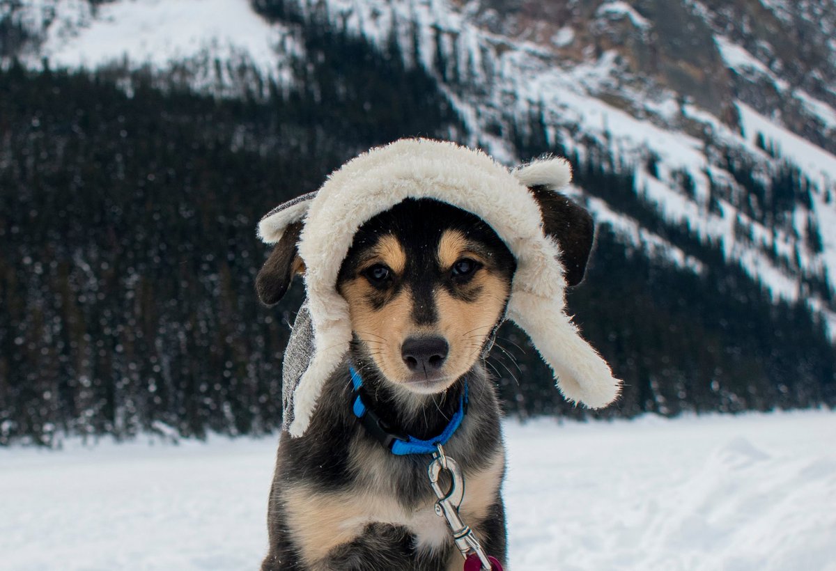 Penny and Parker tweet media