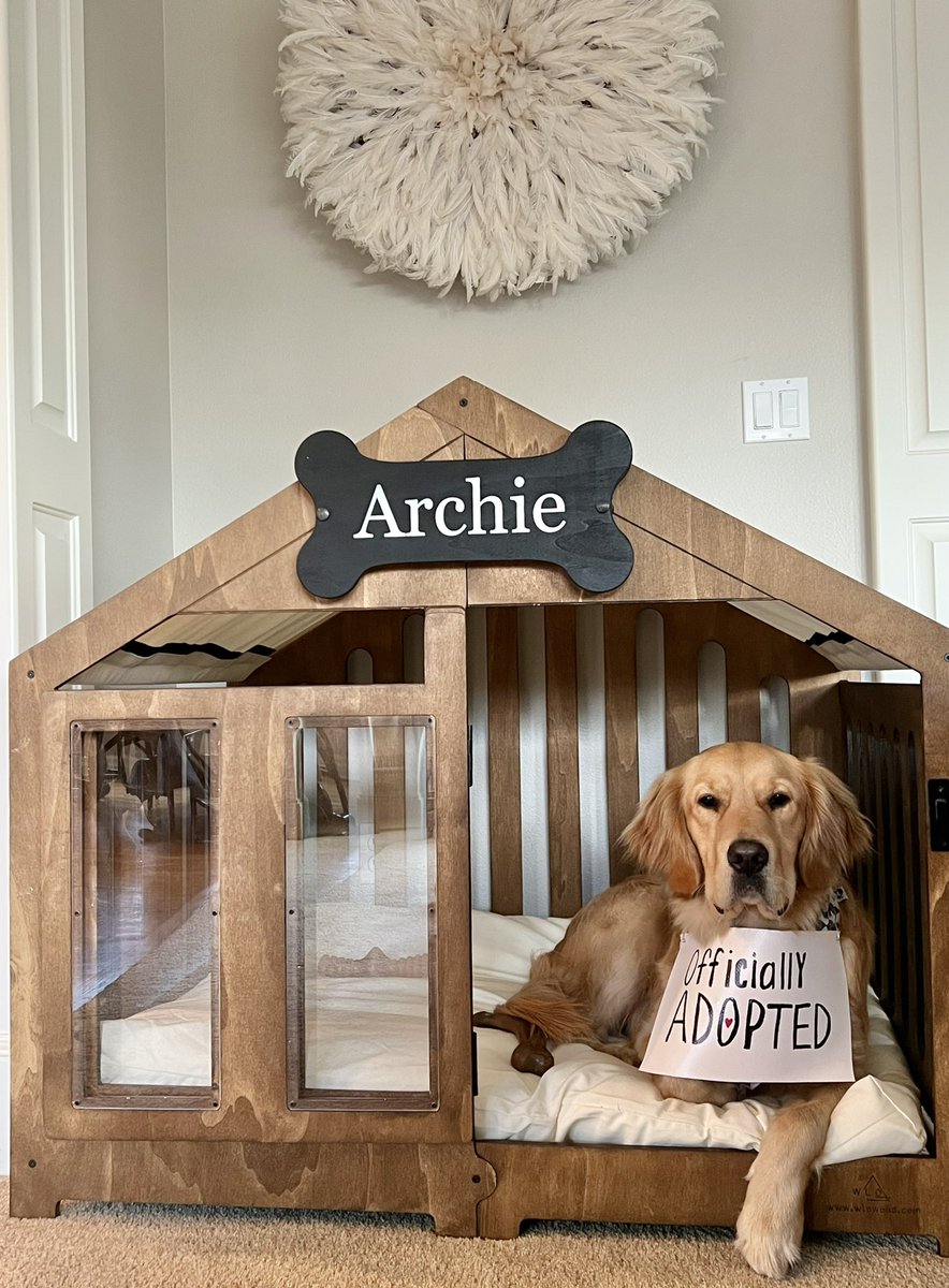 Hi 👋 My name’s Archie and I just found my forever home. I hope this good news brings you a smile today. What’s your name? 
#dogsoftwitter #goldenretriever #dogsofinstagram #AdoptDontShop