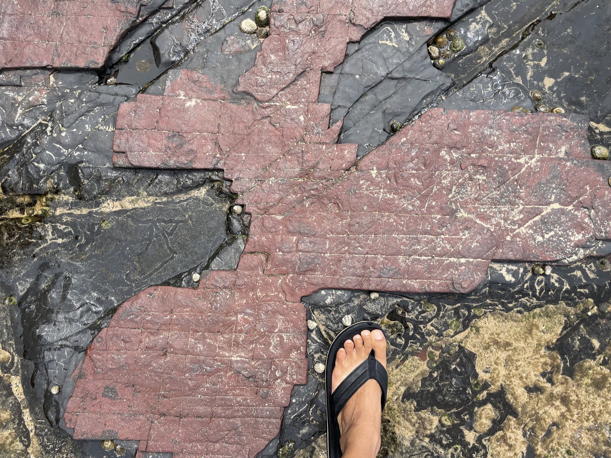 myfeetpic.eth Ethereum Name Service (ENS and .eth domain) PFP