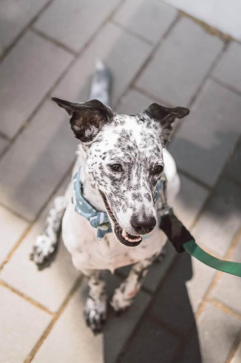 Ellie’s Greatest Adventure ✨ tweet media