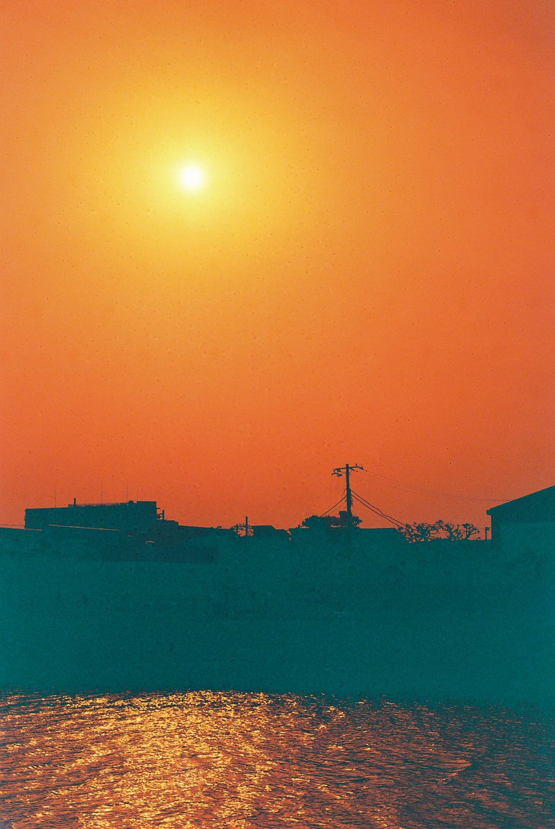 champcamera's tweet photo. RED DRAGON III by #港北ニュータウン 店

#JazzyBlues Filmでお馴染み #Ultrafine の #レッドスケールフィルム RED DRAGON III RedScale Color Print Film 35mm x 36 ISO 100。一面オレンジ色の世界をお楽しみ下さい。
(作例はK様よりご提供)

#Redscalefilm #RedDragon3
https://t.co/QX0v4lvnH7 https://t.co/oAR6DoiuTv