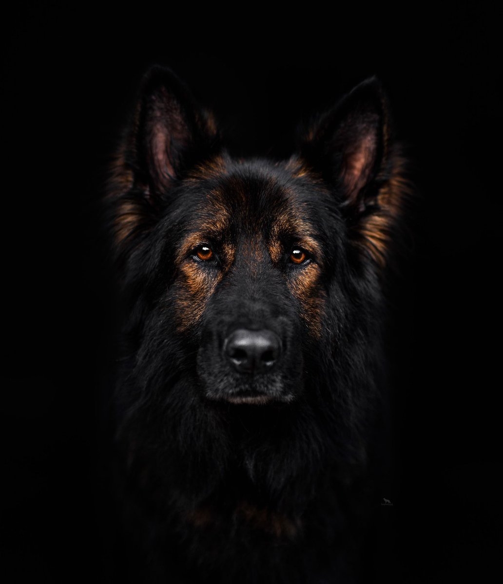 I see videos are an option for Twitter. Might spice things up and post a reel idk