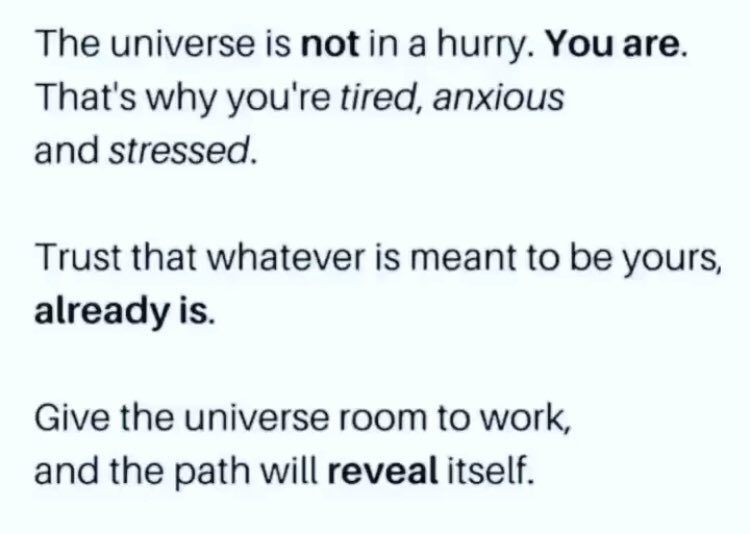 ImagineThis704's tweet image. Ok Universe … your time … your will … your way … The surprises thus far have been more than we dreamed on our own anyway. #Allow #ReleaseandLetGo 
🌞🧘🏽☮️