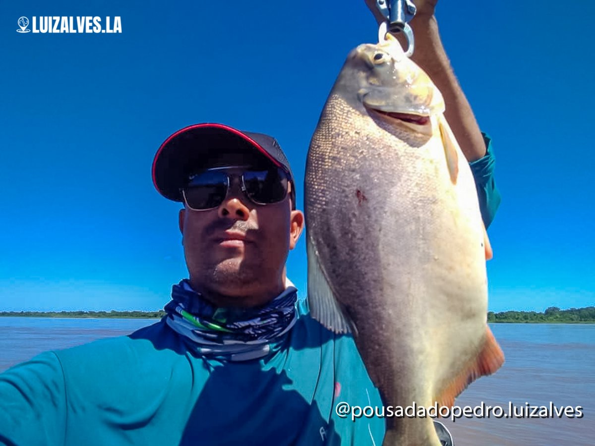 LuizAlvesLA's tweet photo. O @oasisdoaraguaia esta com pacotes imperdíveis para a pescaria dos seus sonhos.

A Temporada de pesca 2022 promete!!!!
🐟🦈🎣🚤🏖☀🍻
Entre em contato 61 98410-0502 e marque agora sua próxima pescaria.

Pescaria🎣 com o guia @cleitonguia https://t.co/ke9fAblwWL
