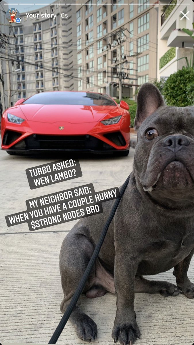 DeFiHunny's tweet photo. #wenlambo #Bullish $STRONG #NODELIFE https://t.co/ksyI383O0J