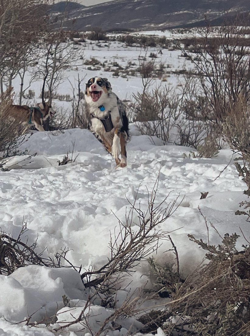 tailsofthecosmo tweet picture