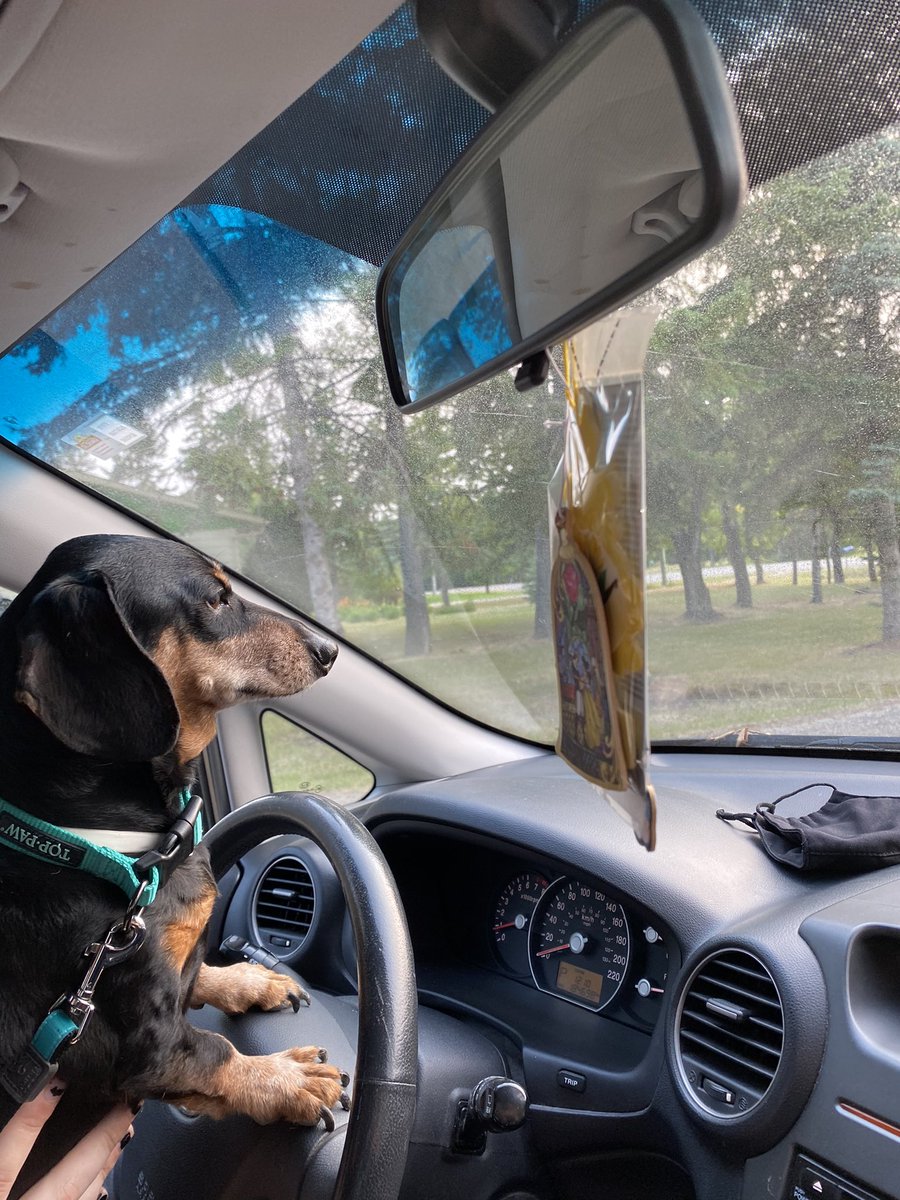 Maxi Pad tweet media