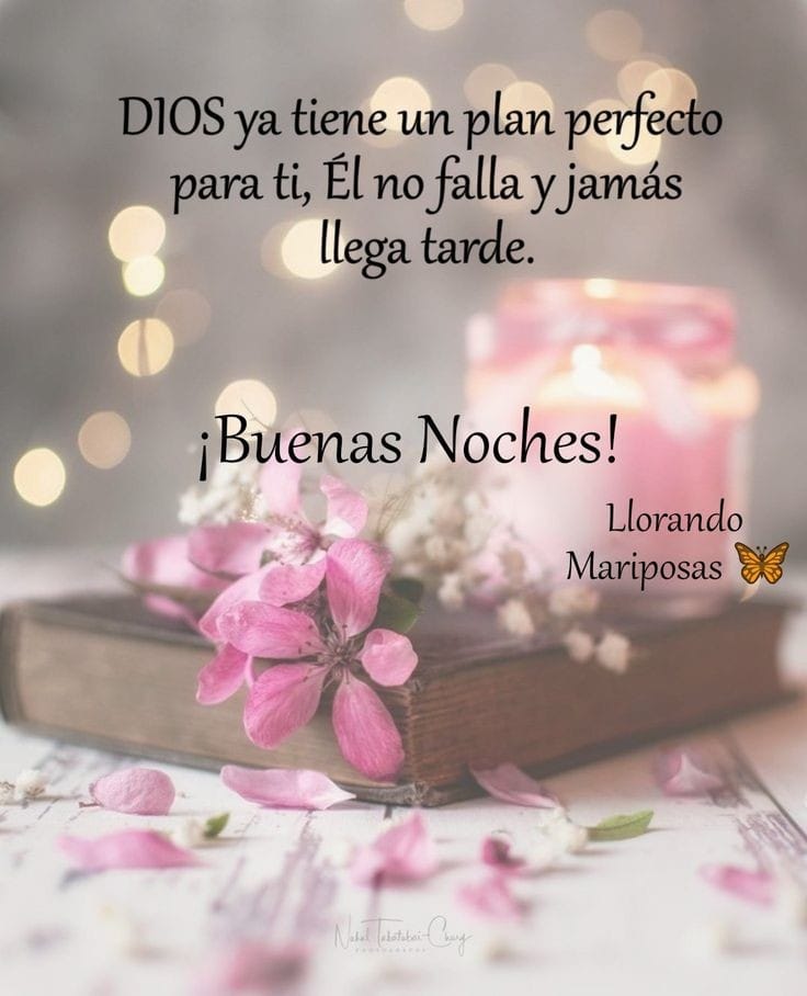 Sagrariodelmonte on Twitter: Sagrariodelmonte on Twitter: