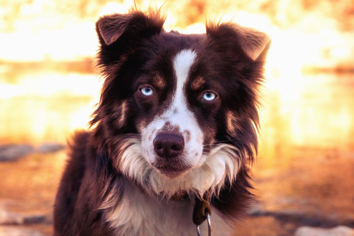 Mighty Meka tweet media